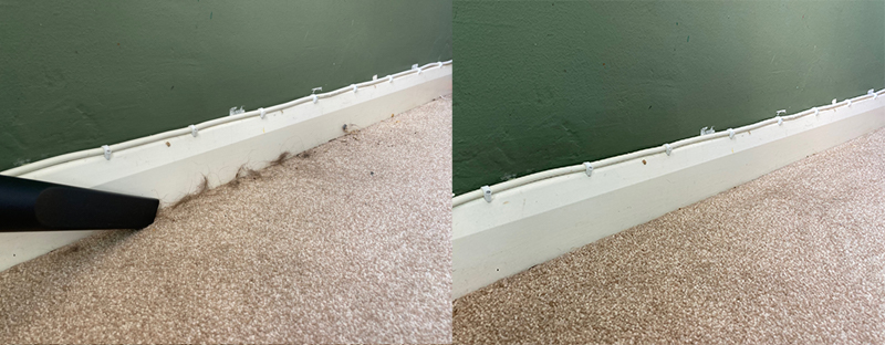 The Henry Pet vacuum cleaner crevice tool cleaning results on a skirting board.