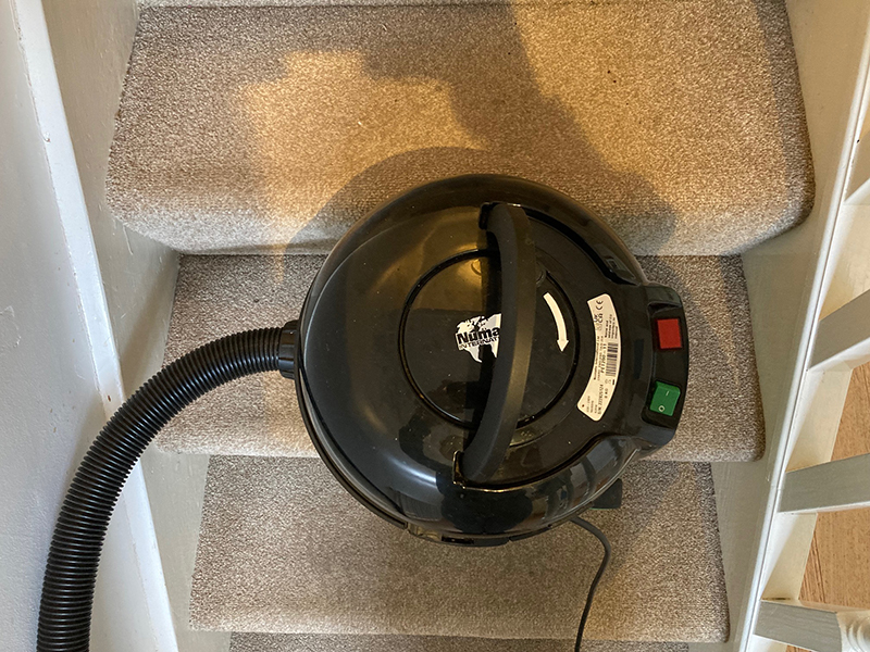 A Henry Pet vacuum cleaner balancing on a stair tread.